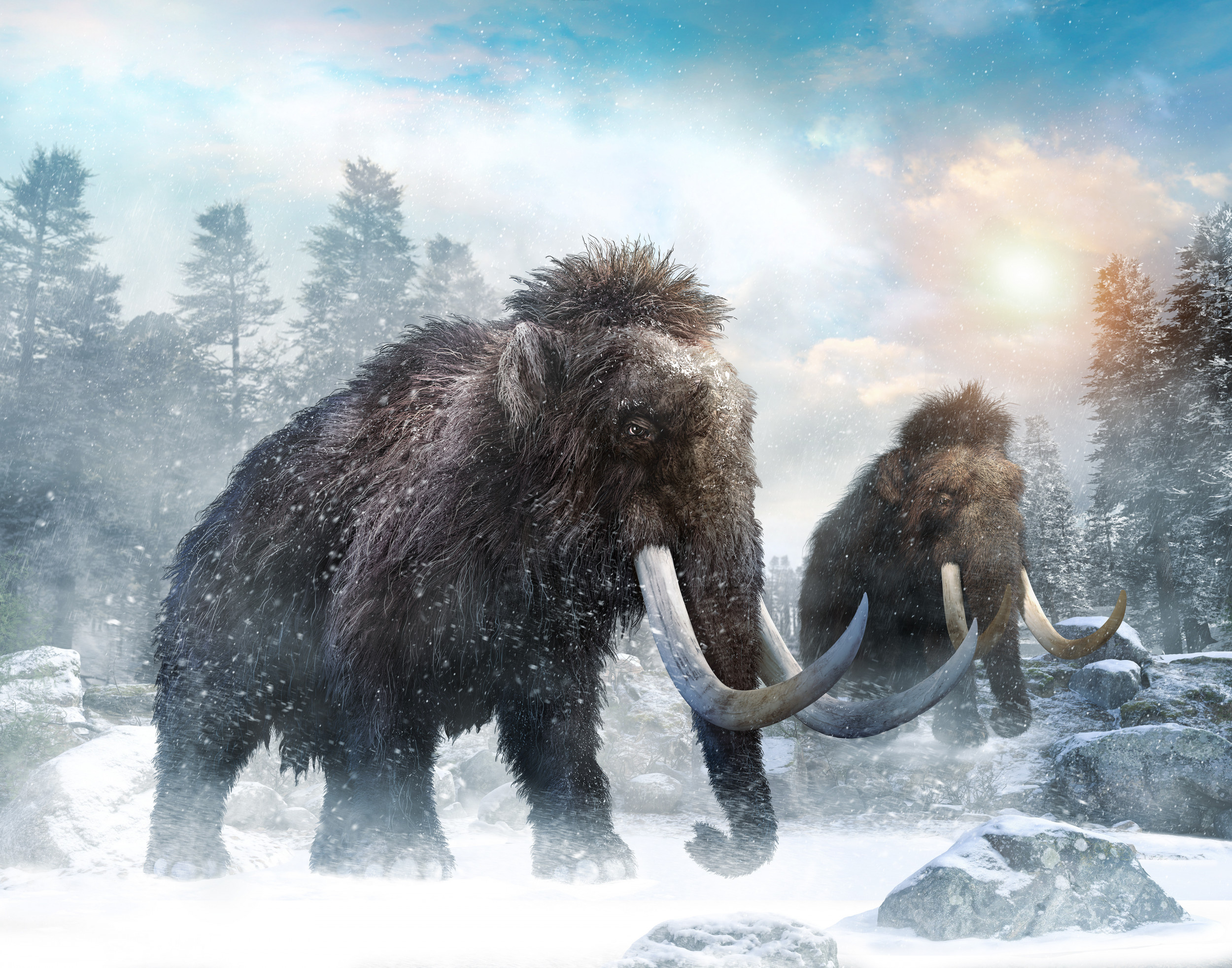 The Man Who Wants To Release Thousands of Wooly Mammoths Into the Arctic
