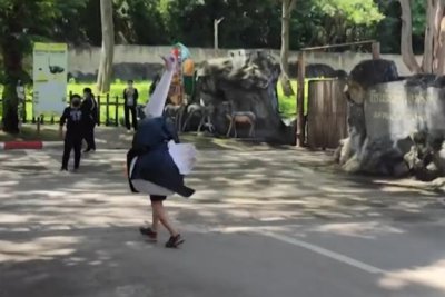 Watch: Thai zoo holds escape drill with employee in ostrich costume