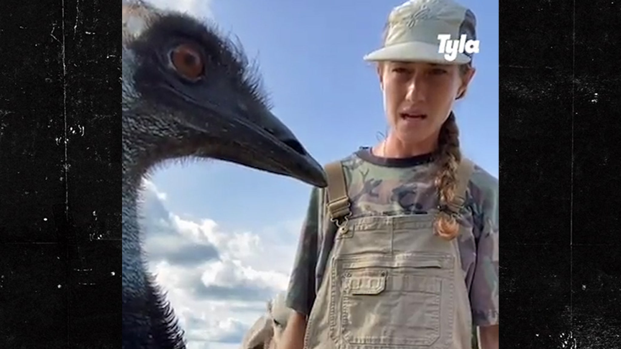 Emmanuel the Emu Sick After Wild Geese, Bird Flu Strike Florida Farm