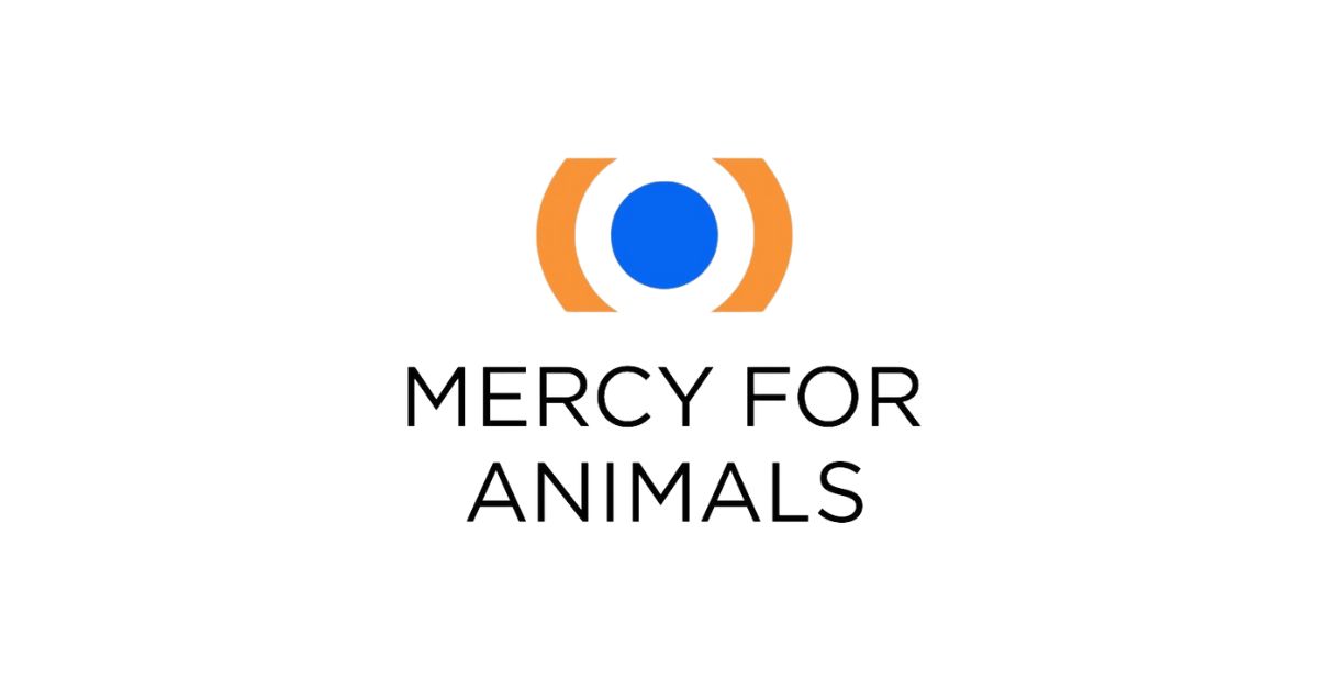 Mercy For Animals Urges Major Restaurant Chains To “Cheers to Choices”