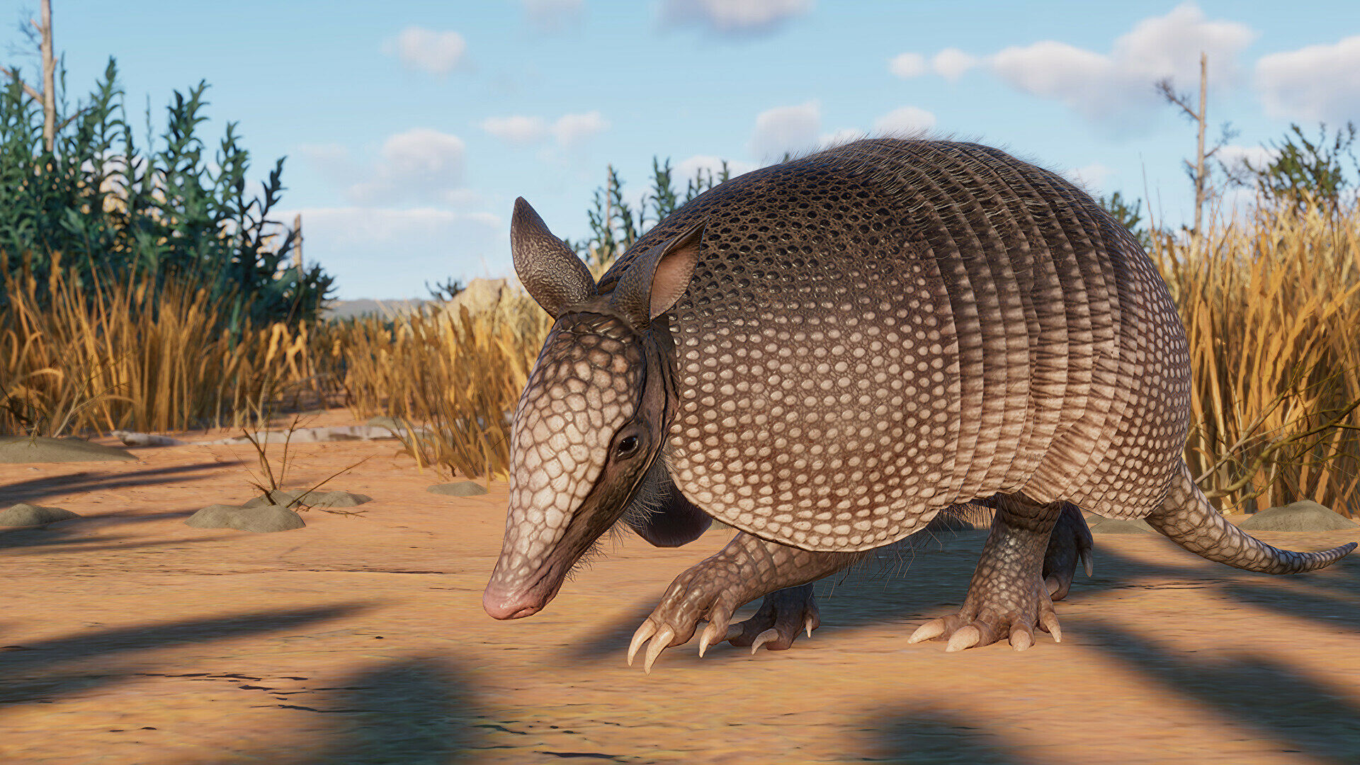 Planet Zoo adds emus, armadillos, and more in new Grasslands expansion