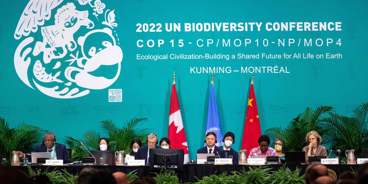 Nations Pledge to Protect Animal, Plant Diversity