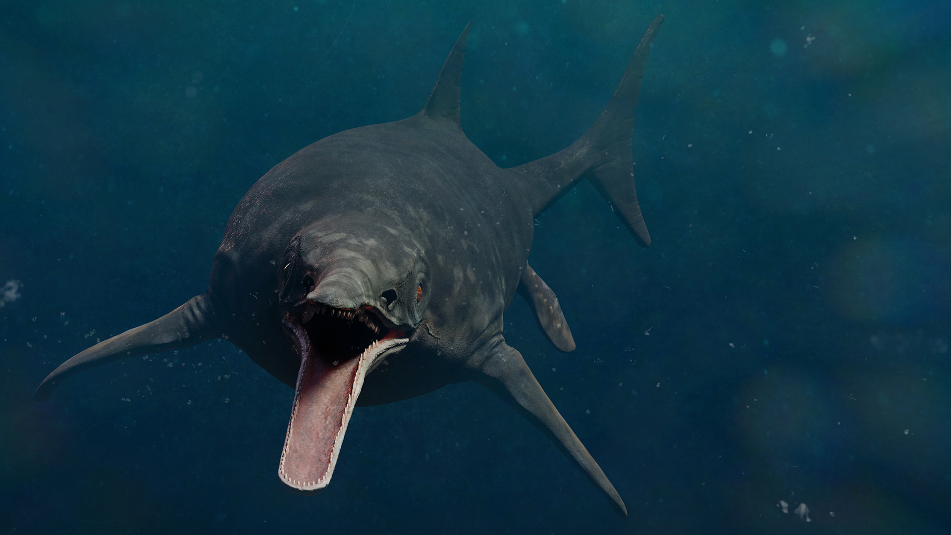 New fossils reveal a super-predator that may have been the biggest animal in history