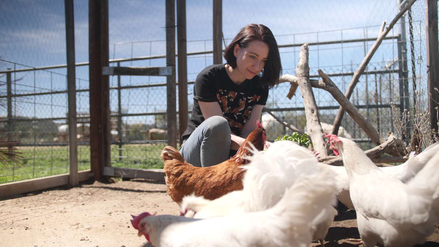 From Grassroots to Global, Group Works to Improve Animal Conditions