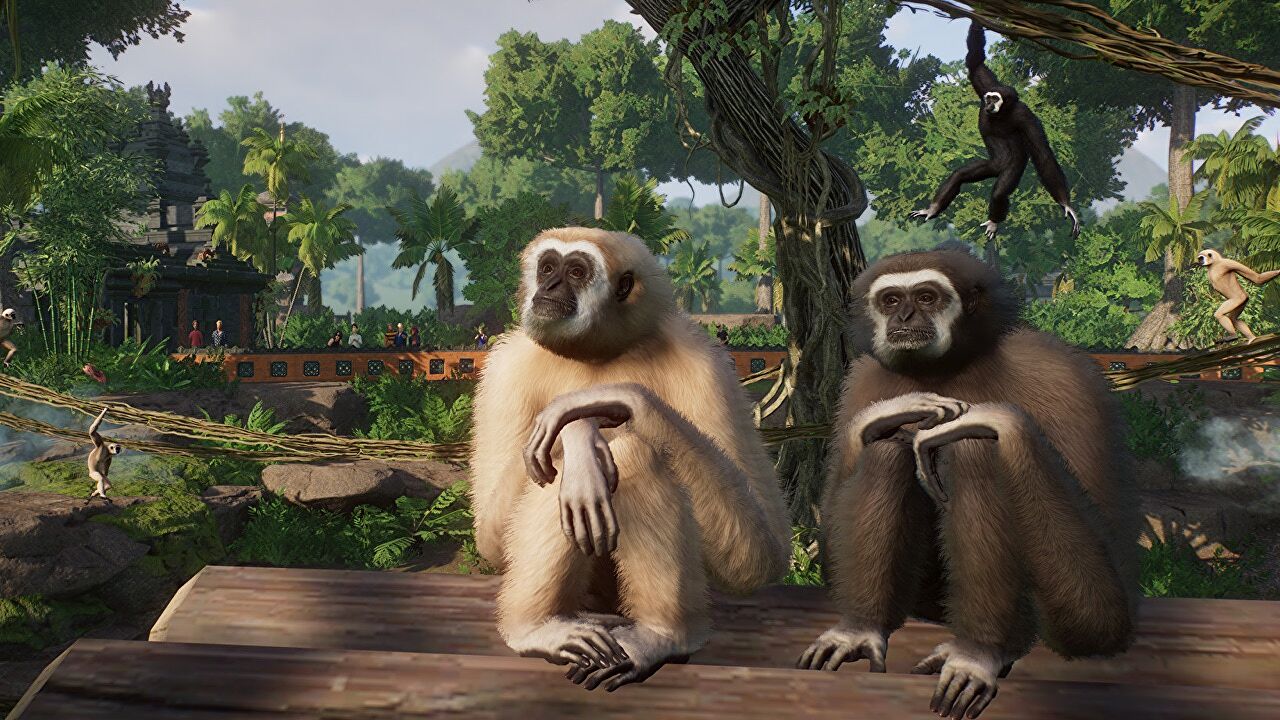 Planet Zoo heads to the rainforest in April’s Tropical Pack expansion