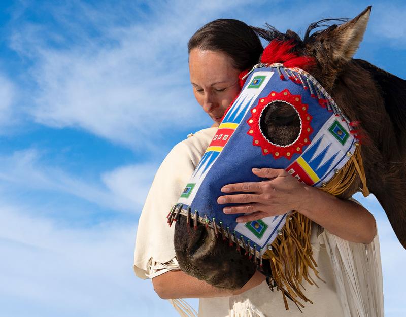 Horse nations: Animal began transforming Native American life startlingly early