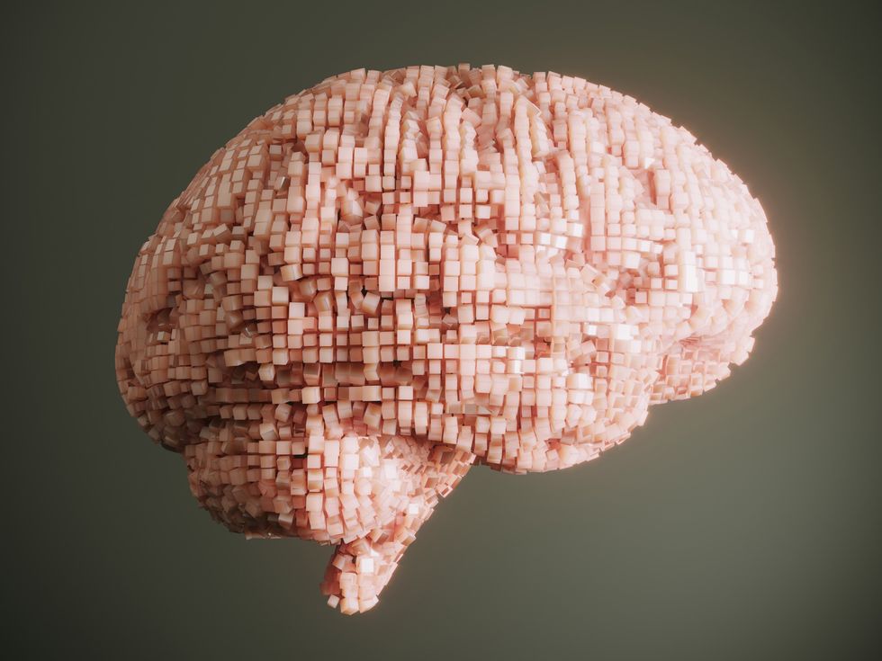 Organoid Intelligence: Computing on the Brain