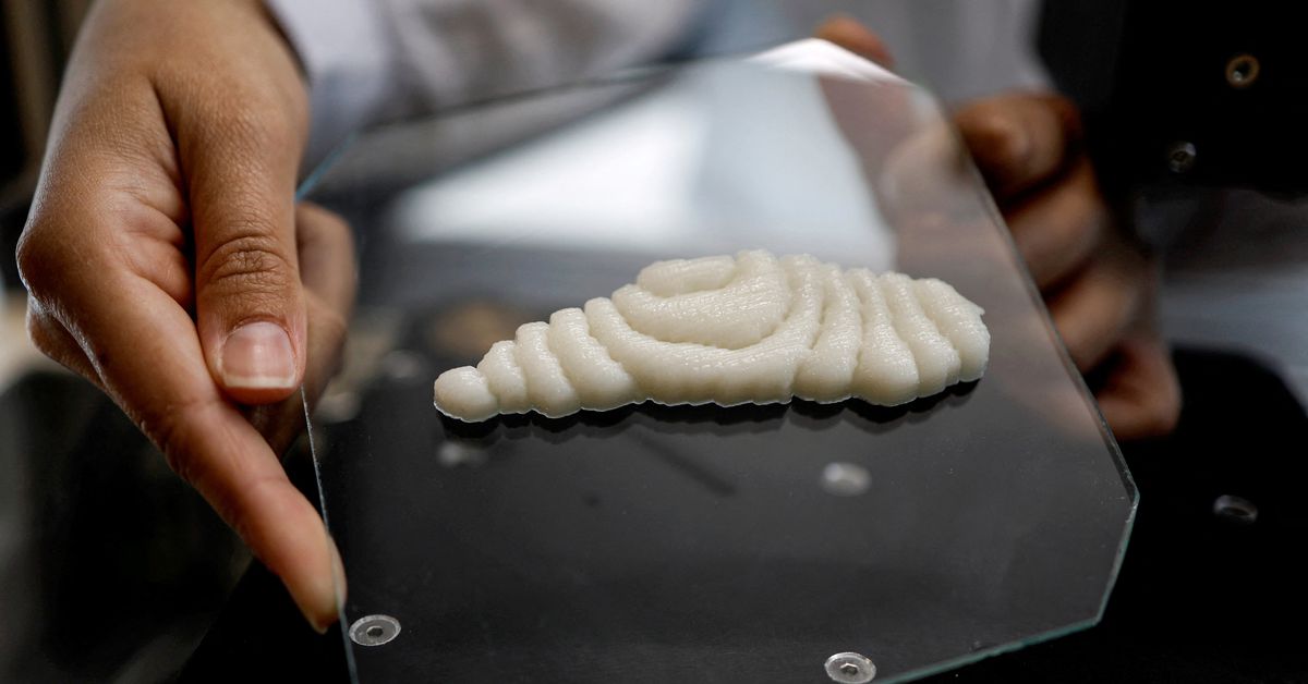 Dished up by 3D printers, a new kind of fish to fry